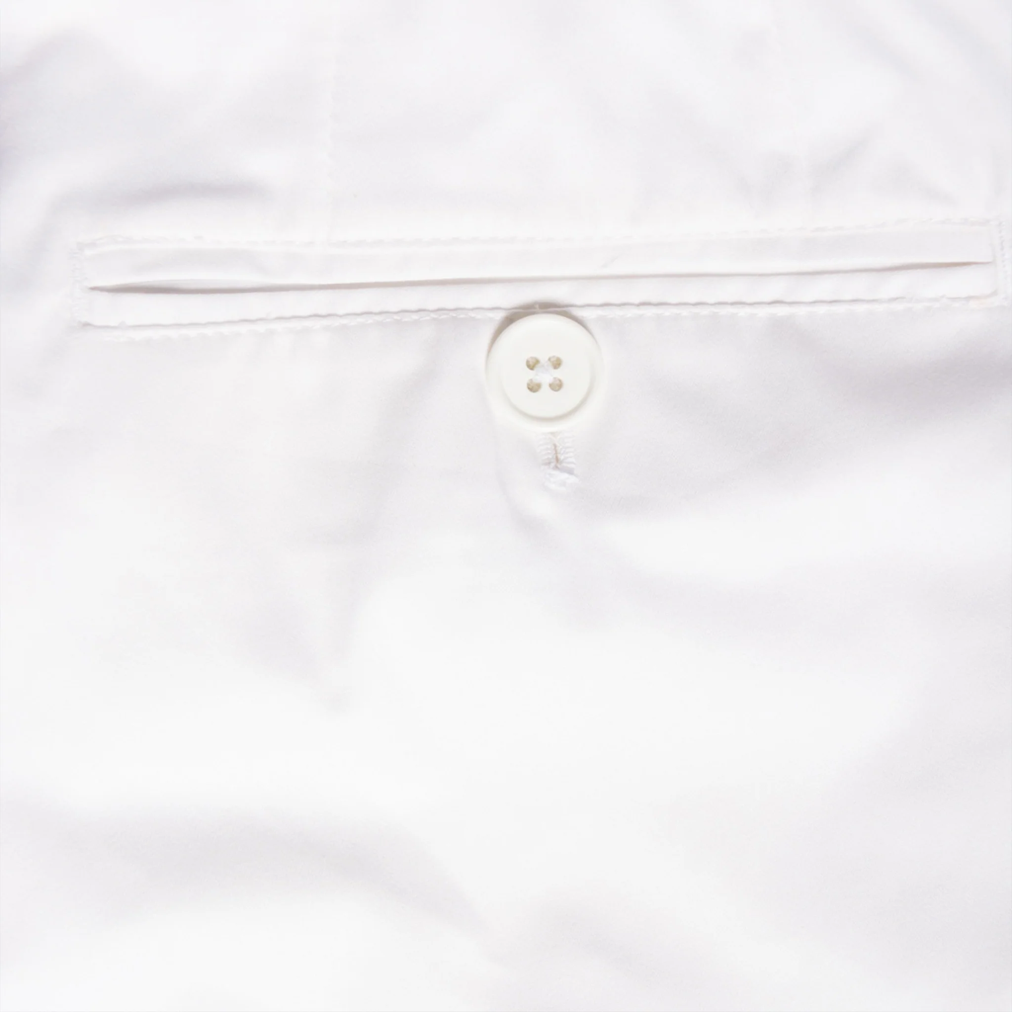 Lion Chino White - Image 3