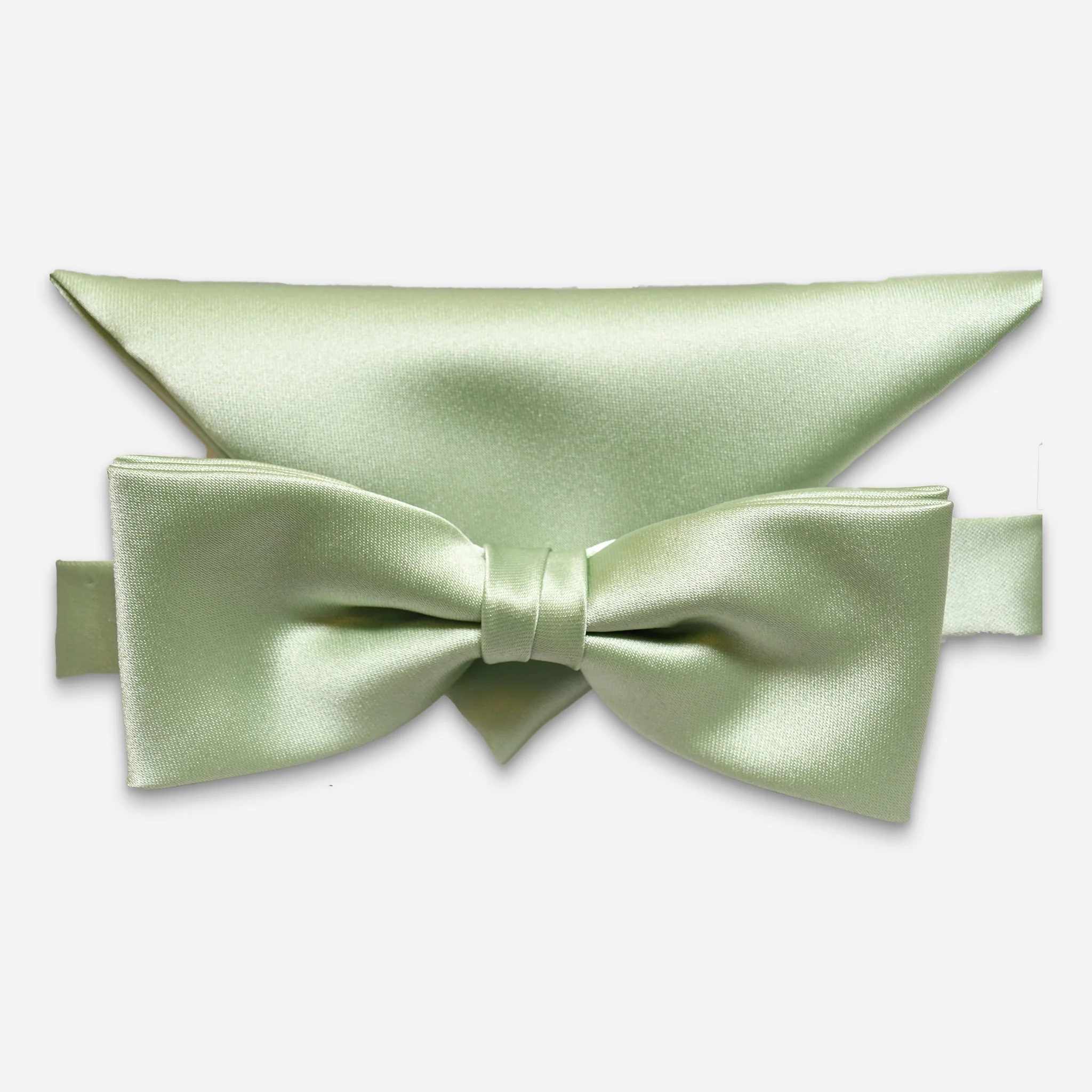 Wedding Schleifen-Set [2101] Salbei